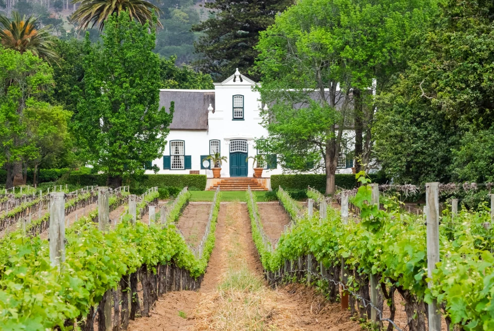 A white house at the end of a vineyard