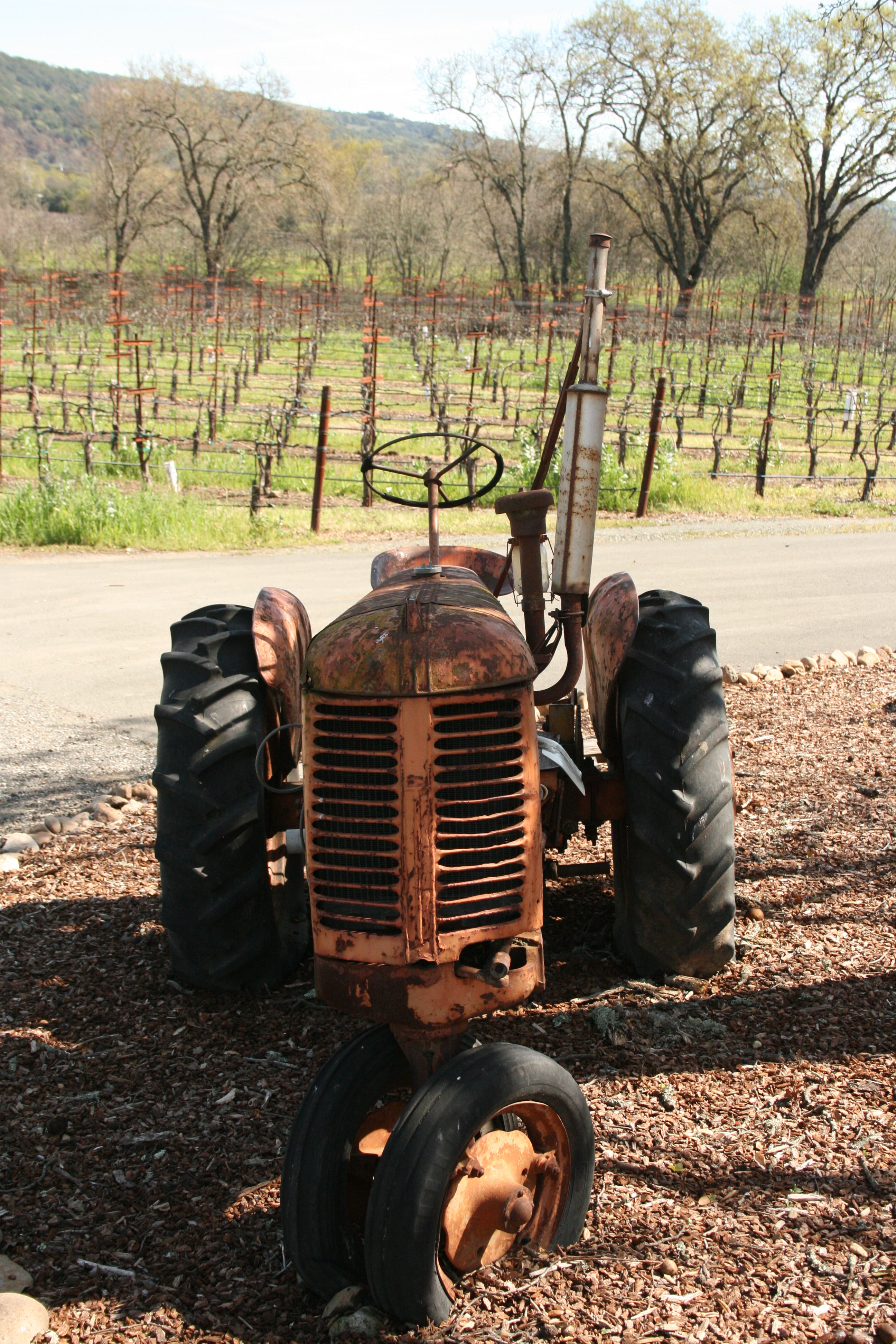 Napa Calistoga Where Beauty Relaxation Unite   Neil Mewes DDPusrtDKwg Unsplash 