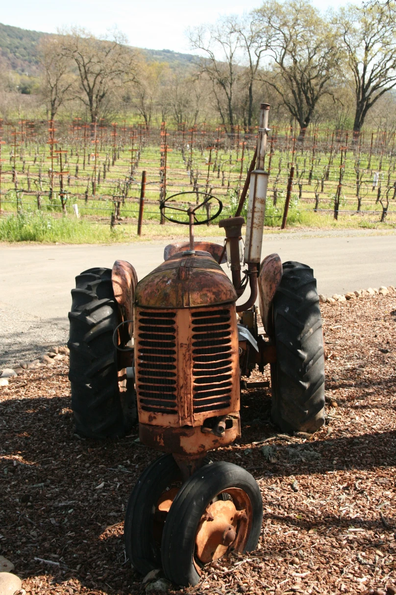 A tractor at a vineyard. 