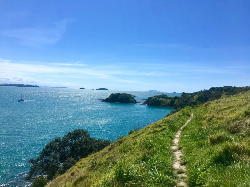 island with grassy path on its coast