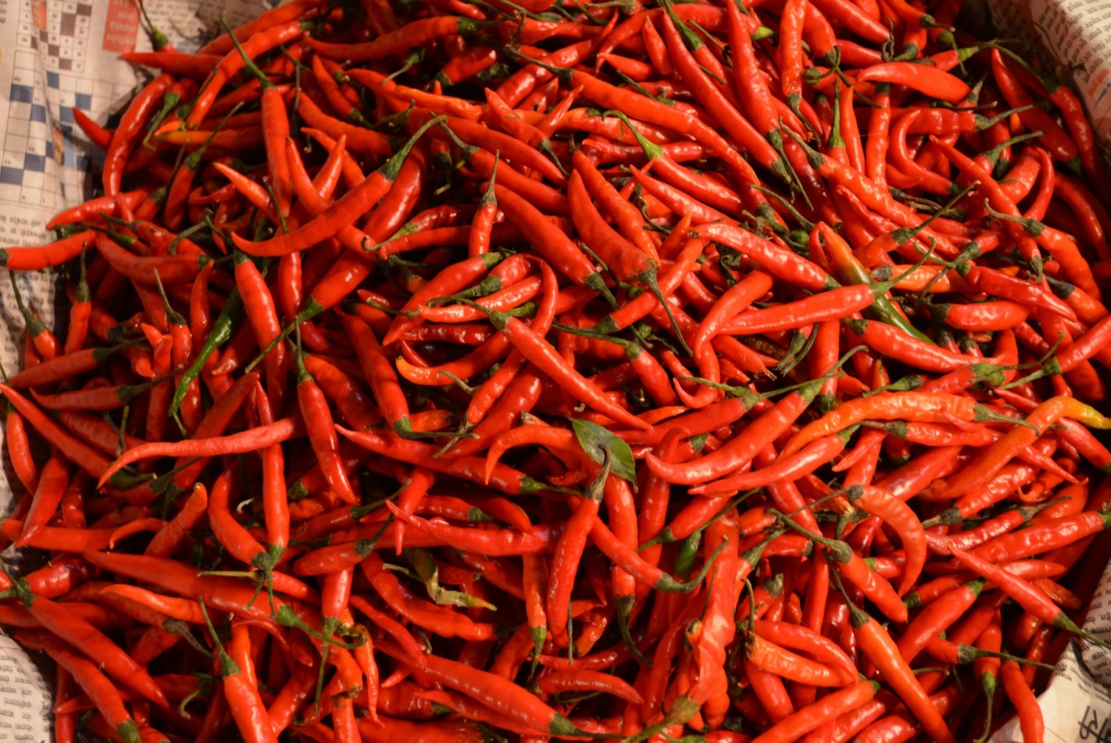 a pile of thin red chiles