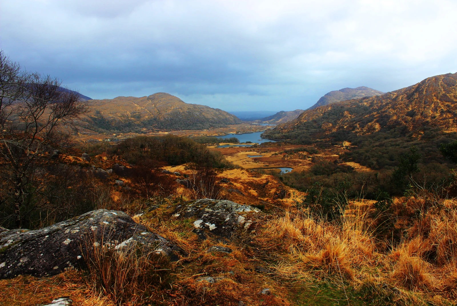 Ladies View in Killarney National Park is a breathtaking panorama that captures the essence of Ireland's natural beauty, with serene lakes, lush forests, and majestic mountains.
