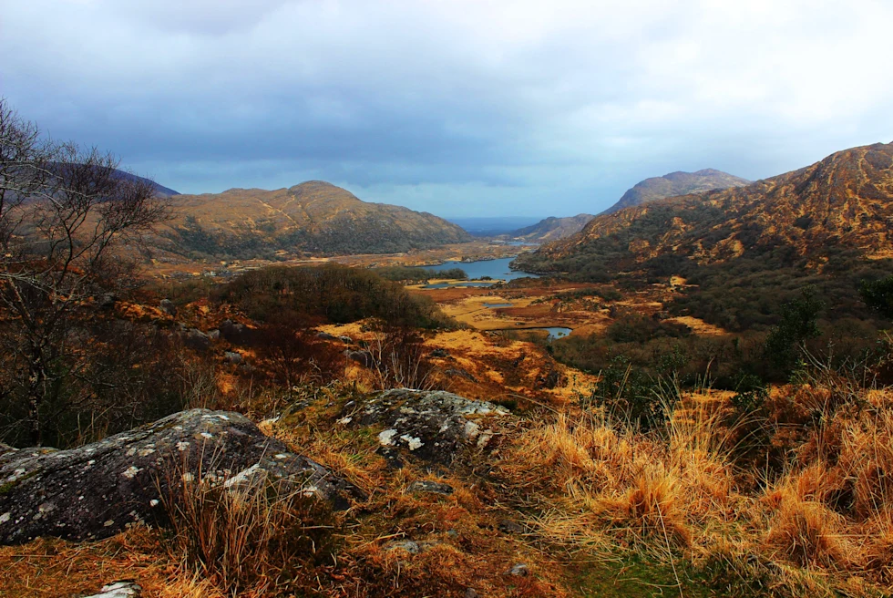 Ladies View in Killarney National Park is a breathtaking panorama that captures the essence of Ireland's natural beauty, with serene lakes, lush forests, and majestic mountains.