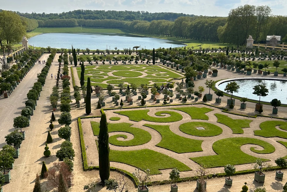 Green garden in sunlight