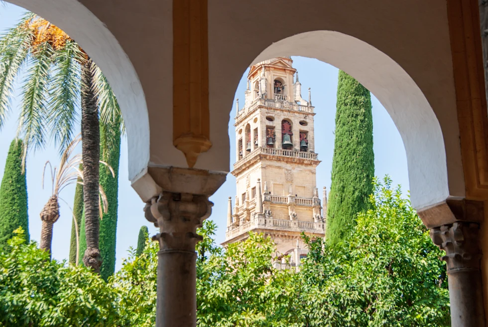 archway with tall green plants during daytime