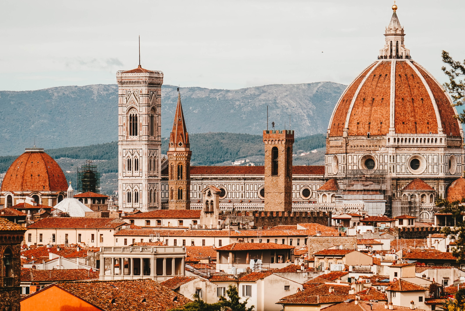 buildings with red roofs during daytime