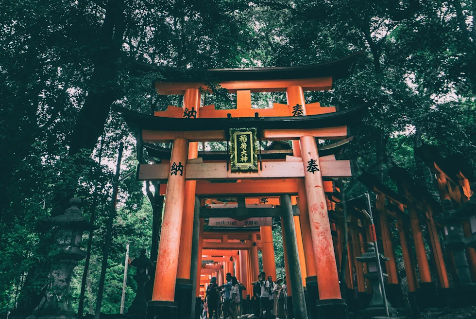 red structure in forest during nighttime