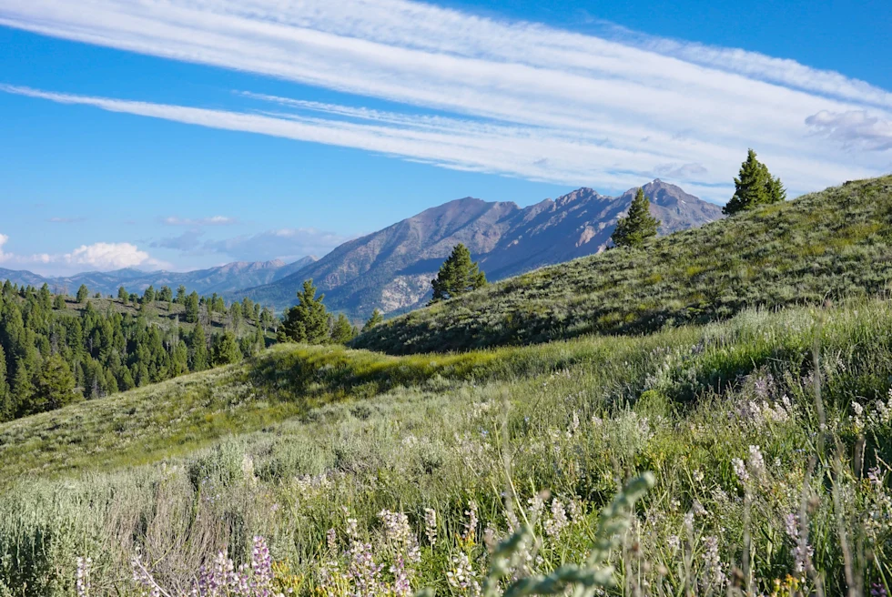 green meadow with mountains in the background during daytime