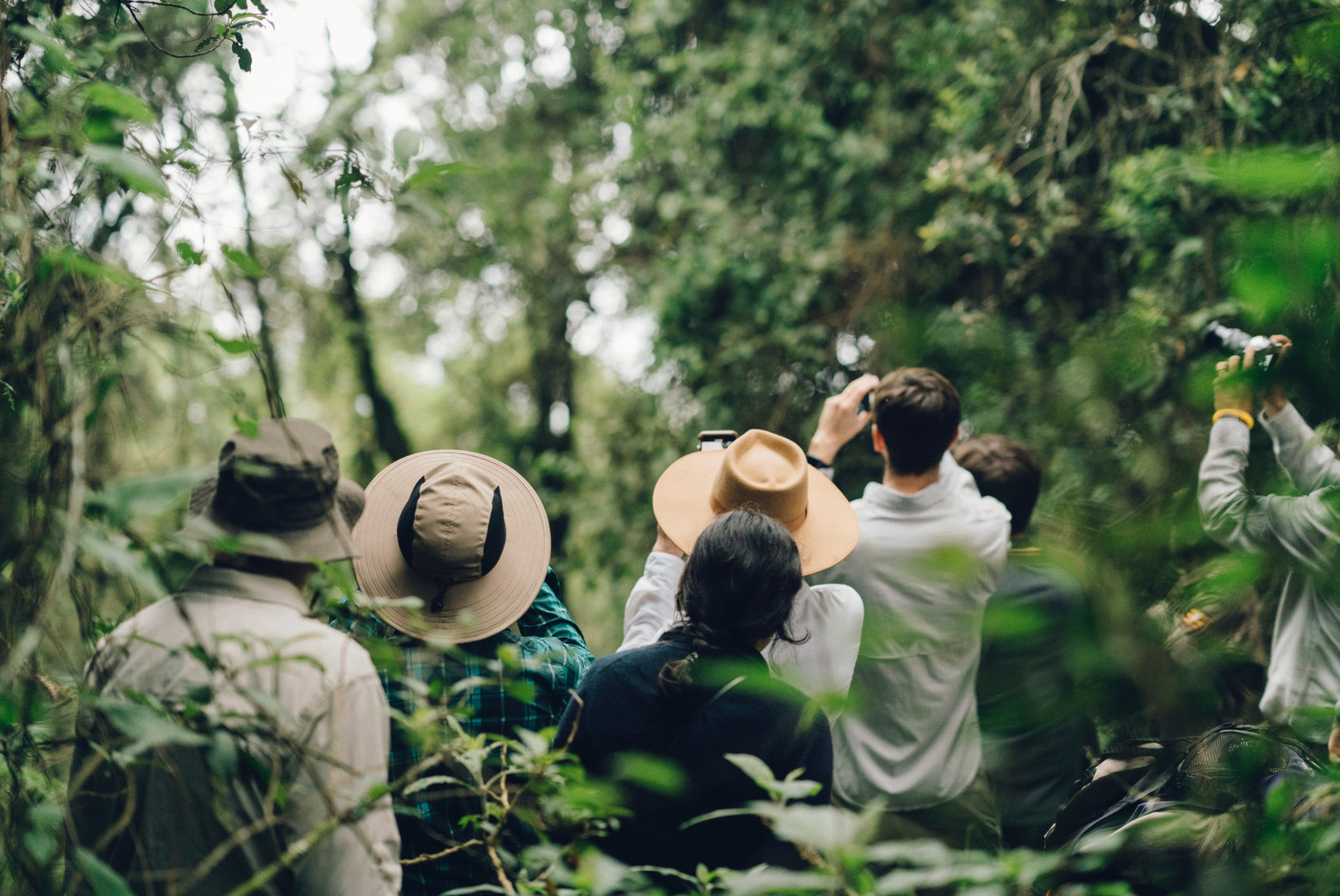 Six people take pictures in bwindi impenetrable national park in Uganda