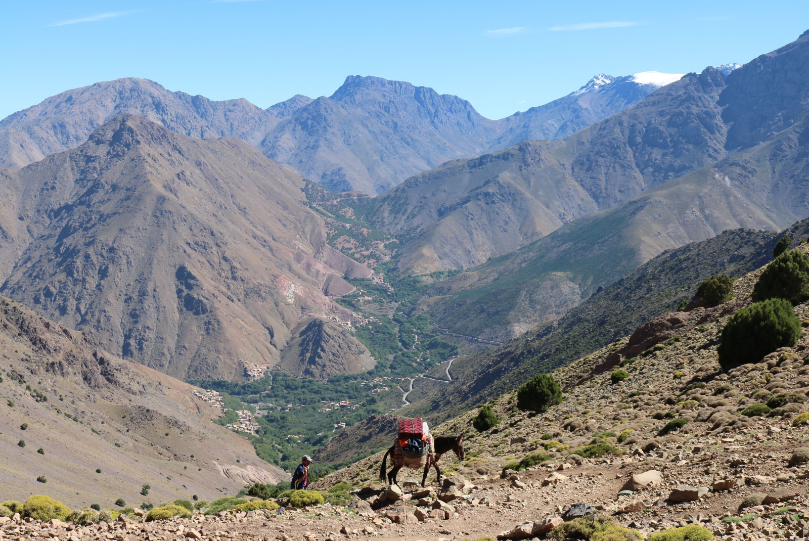 Camel and man walking with mountains in background with blue skies during daytime