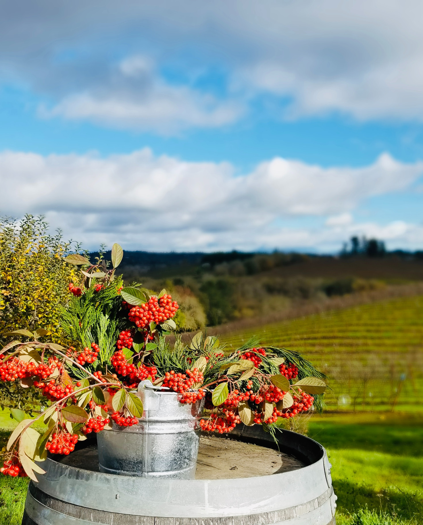 flowers on wine barrel with vineyards in the background