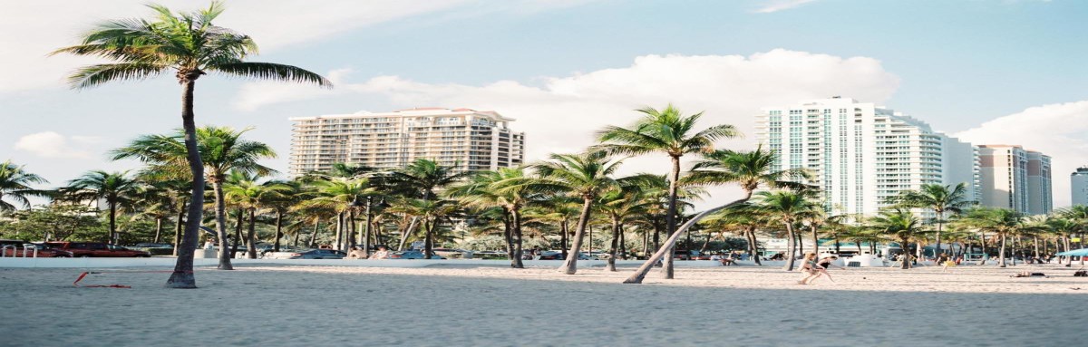 Beach in Miami with palm trees on a sunny summer day.