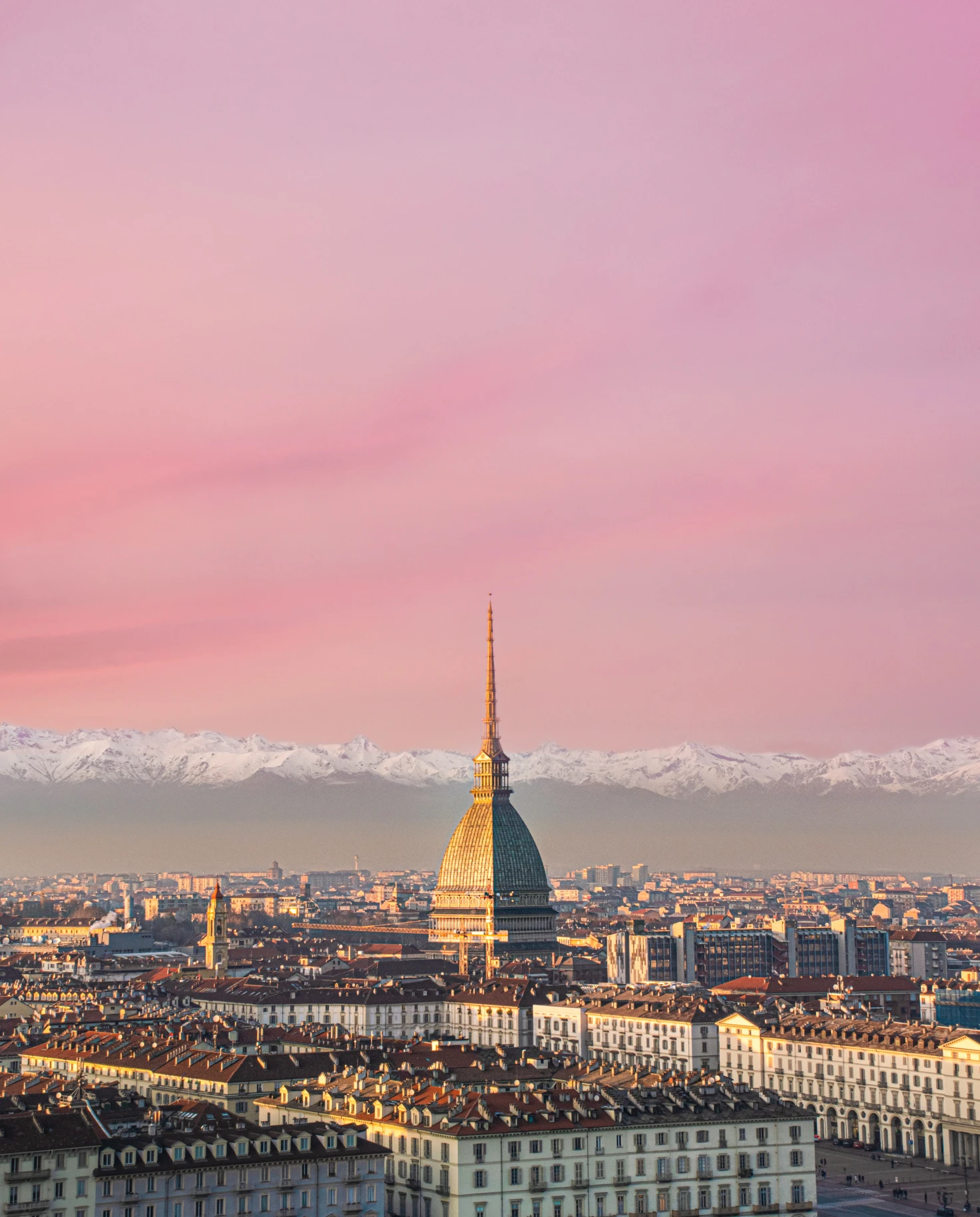 View of Torino, Italy with a pink sky