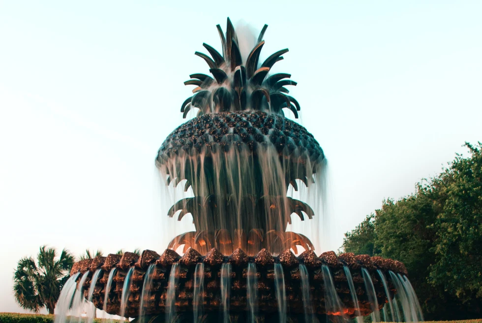 Pineapple shaped fountain during daytime