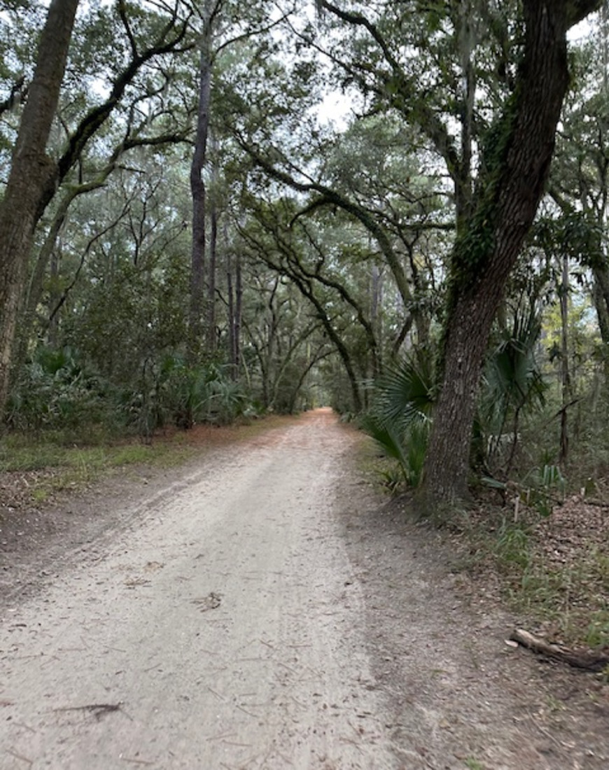 Walking track