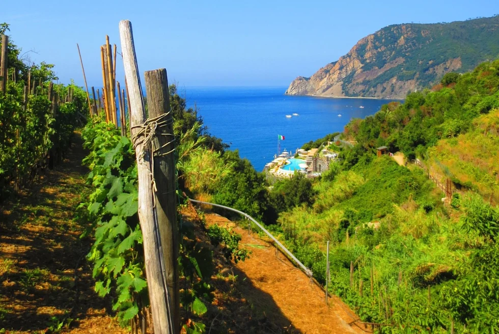 winery on the coast on cloudless day