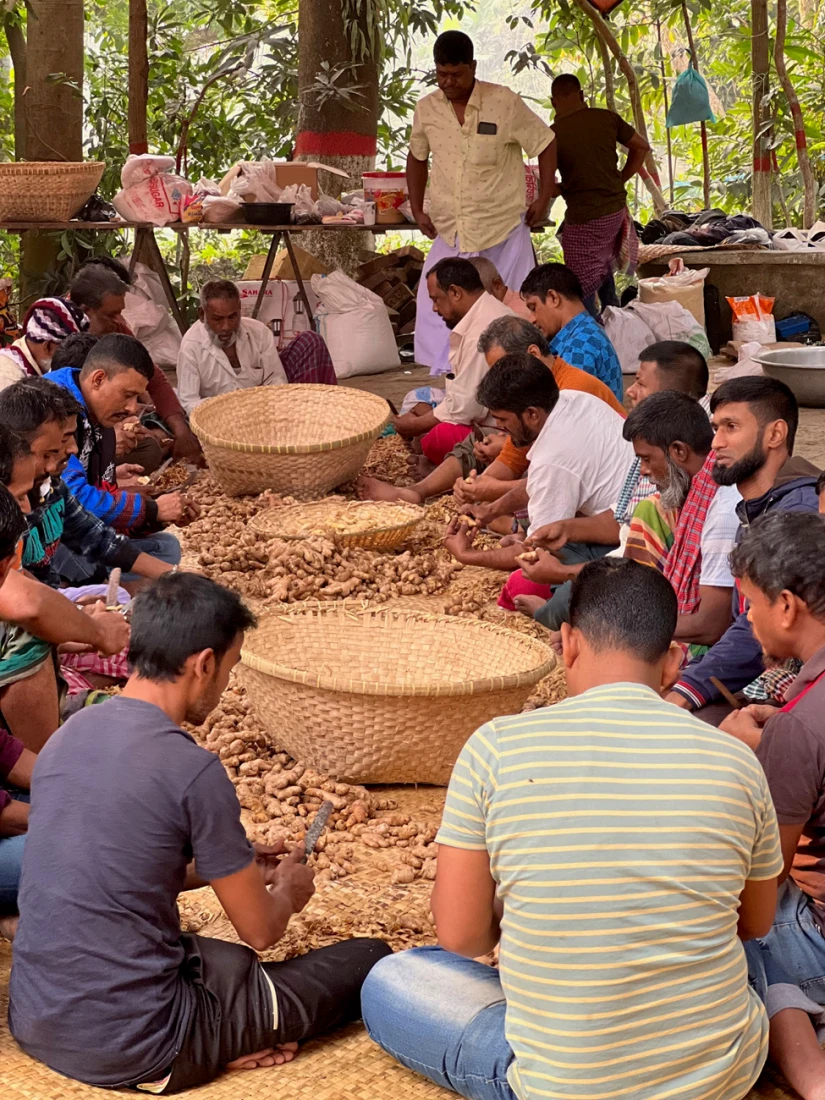 group of people shelling nuts