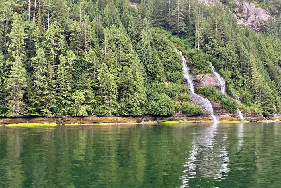lake in the valley of a forest