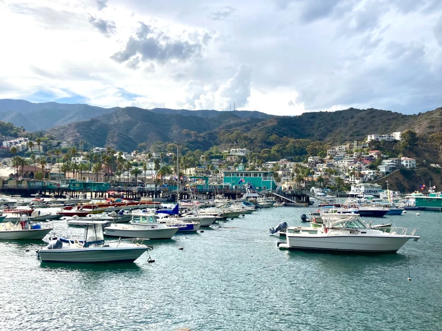 Catalina port