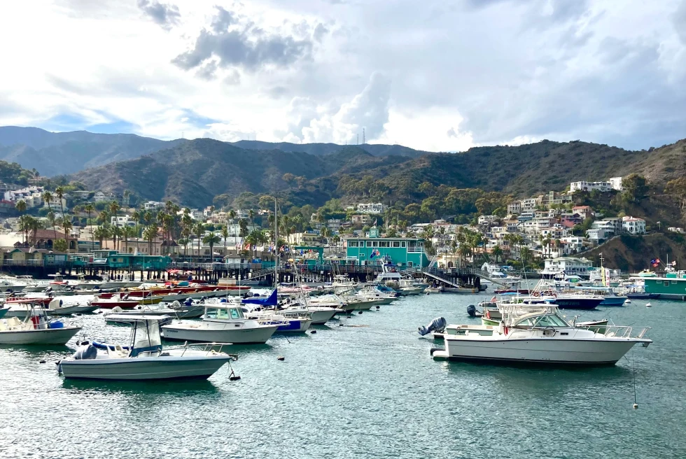 Catalina port