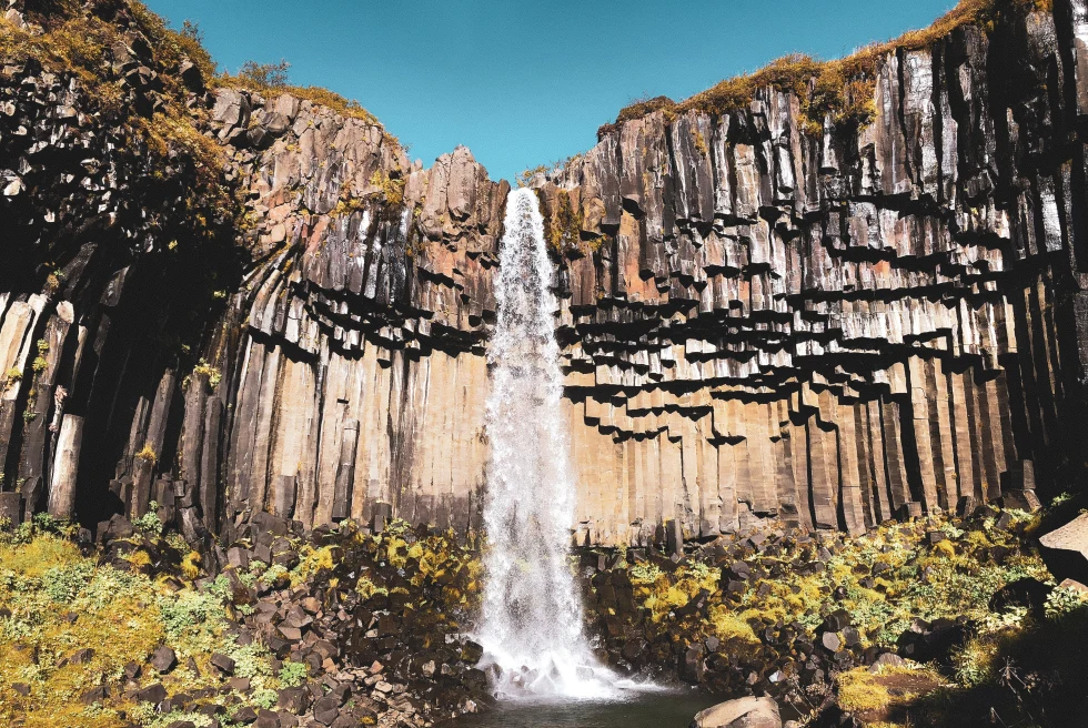 Cascading Svartifoss Waterfall in Iceland