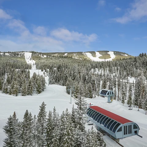 An aerial view of a ski resort with snowy hills, a mass amount of pine trees and ski lifts. 
