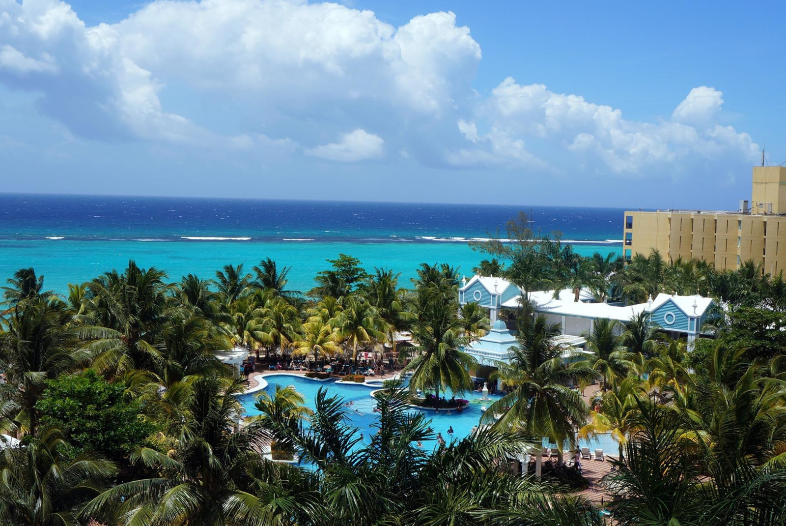 Views of the ocean, pool and trees in Jamaica