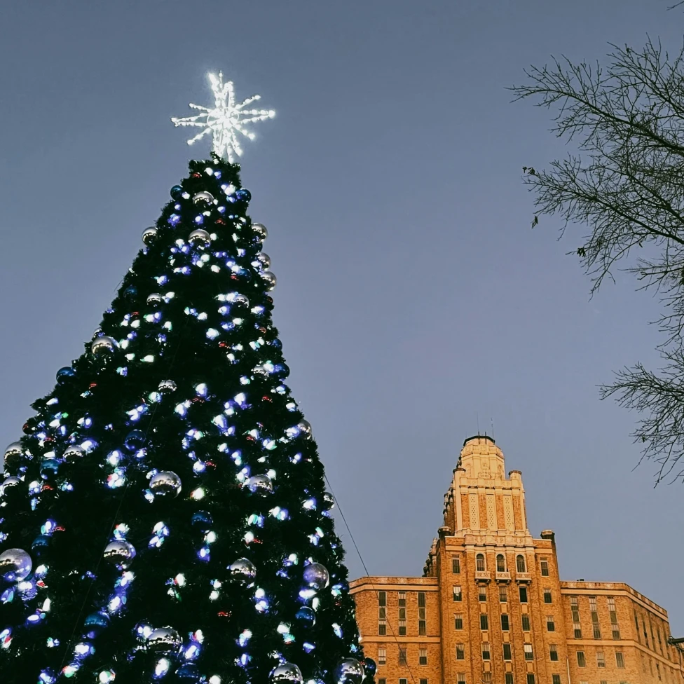 A large Christmas tree against a building.