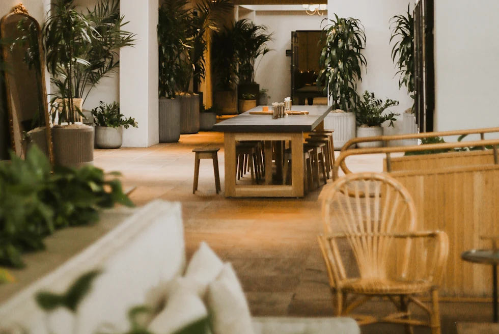 An interior of a restaurant with dining tables, chairs and plants