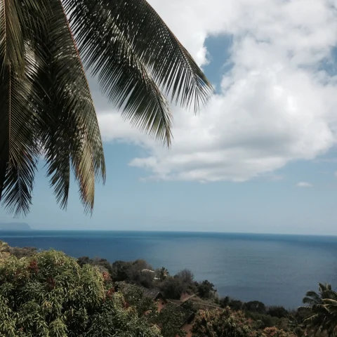 view of beach