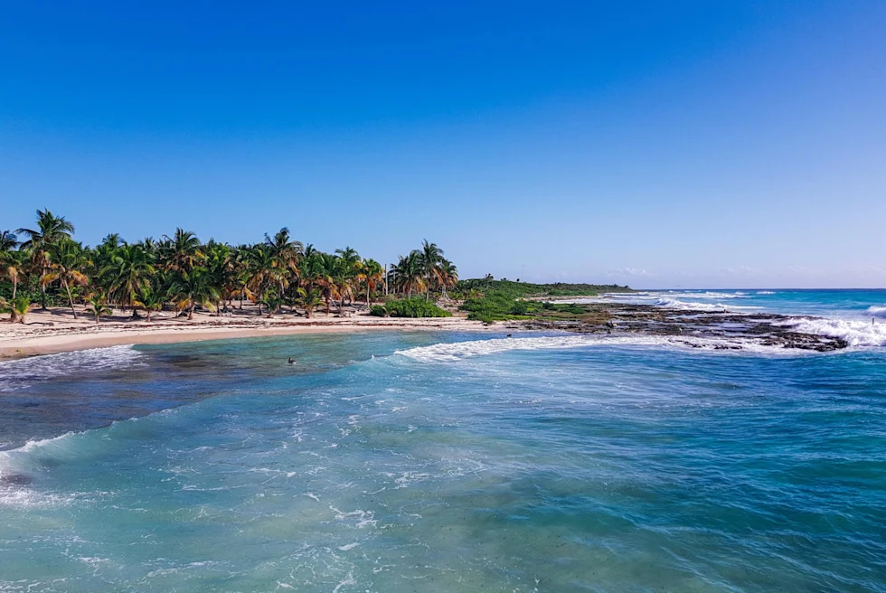 Palm tree-lined beach with rocks, Mahahual Beach in Mexico, on a clear day.