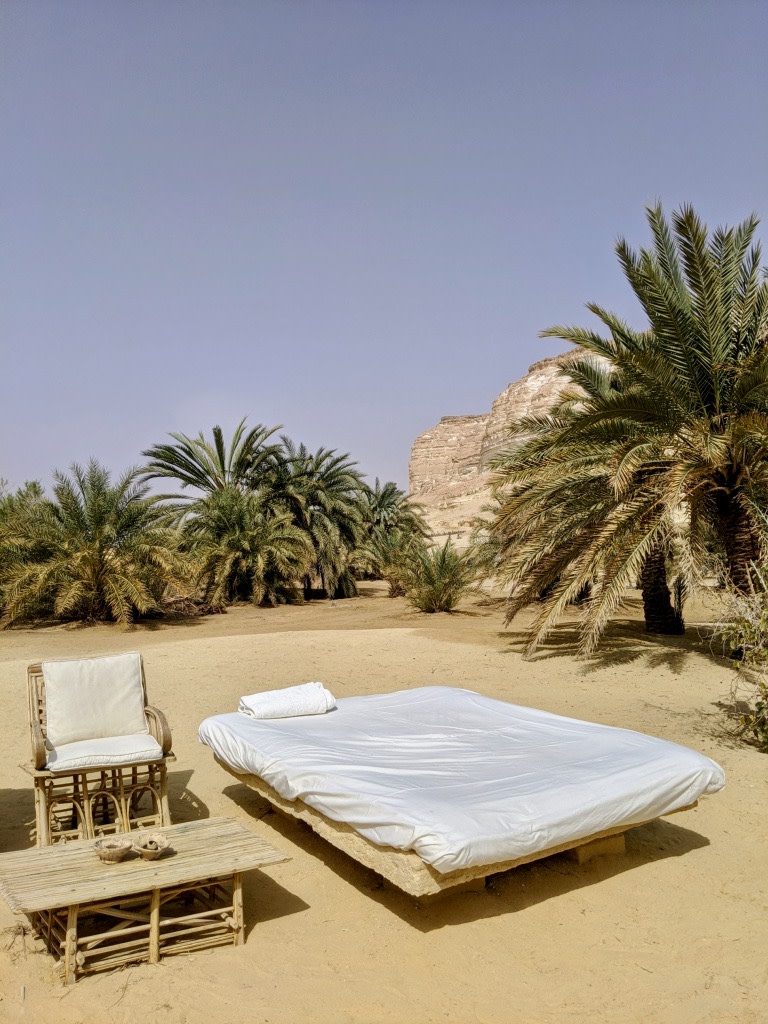 white bed next to chair and table surrounded by palm trees during daytime