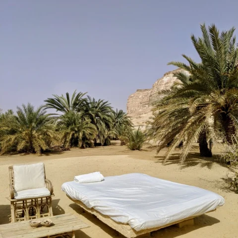 white bed next to chair and table surrounded by palm trees during daytime