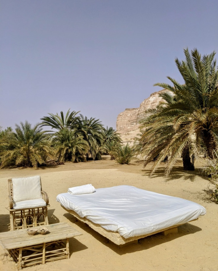 white bed next to chair and table surrounded by palm trees during daytime