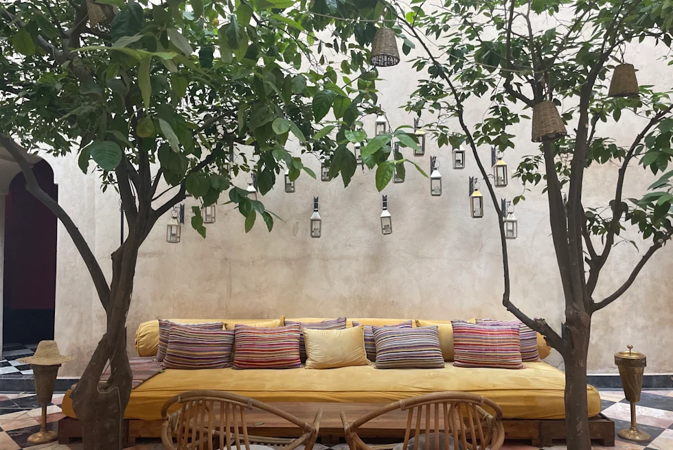 The beautiful sitting area