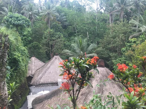 tropical heaven