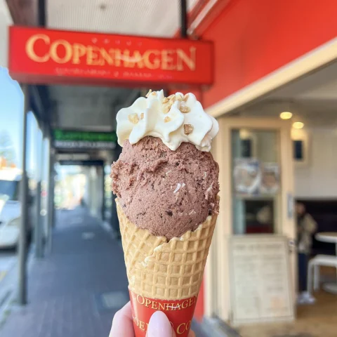 Delectable ice cream at Royal Copenhagen Ice Cream.