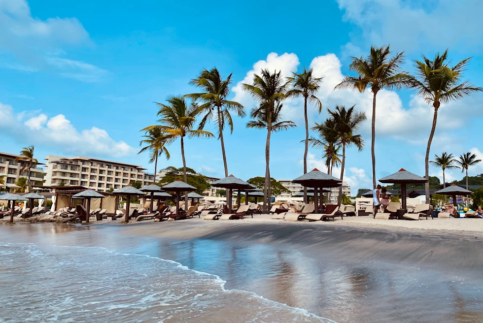 Palm trees, huts and buildings near the beach