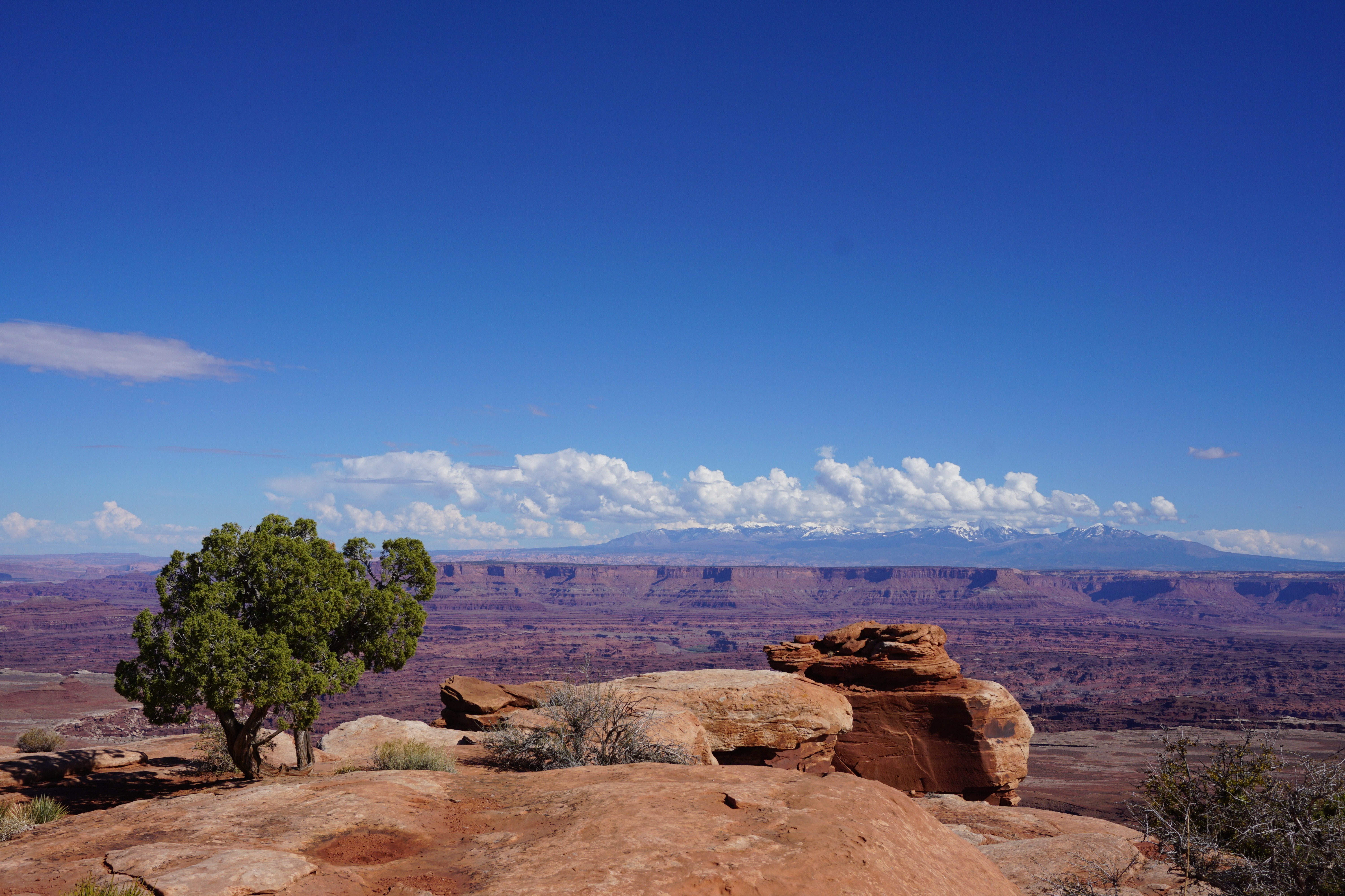 Canyonlands-Islands-in-the-Sky-utah-travel-guide