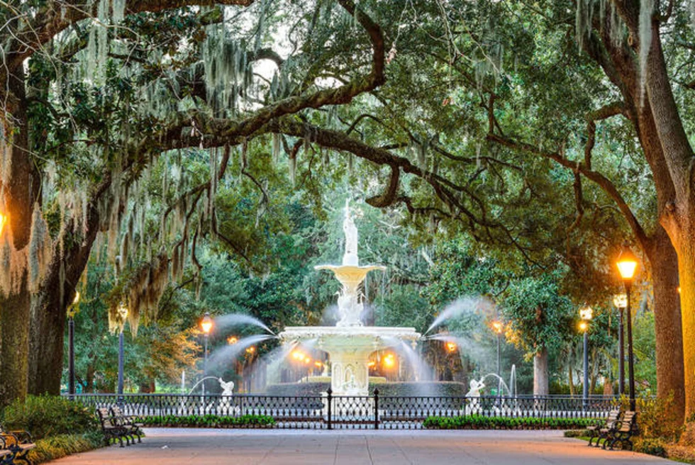 roadside trees and lights beautiful view