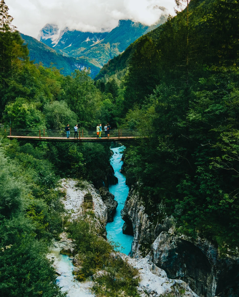 River surrounded by trees with a bridge crossing overhead during daytime