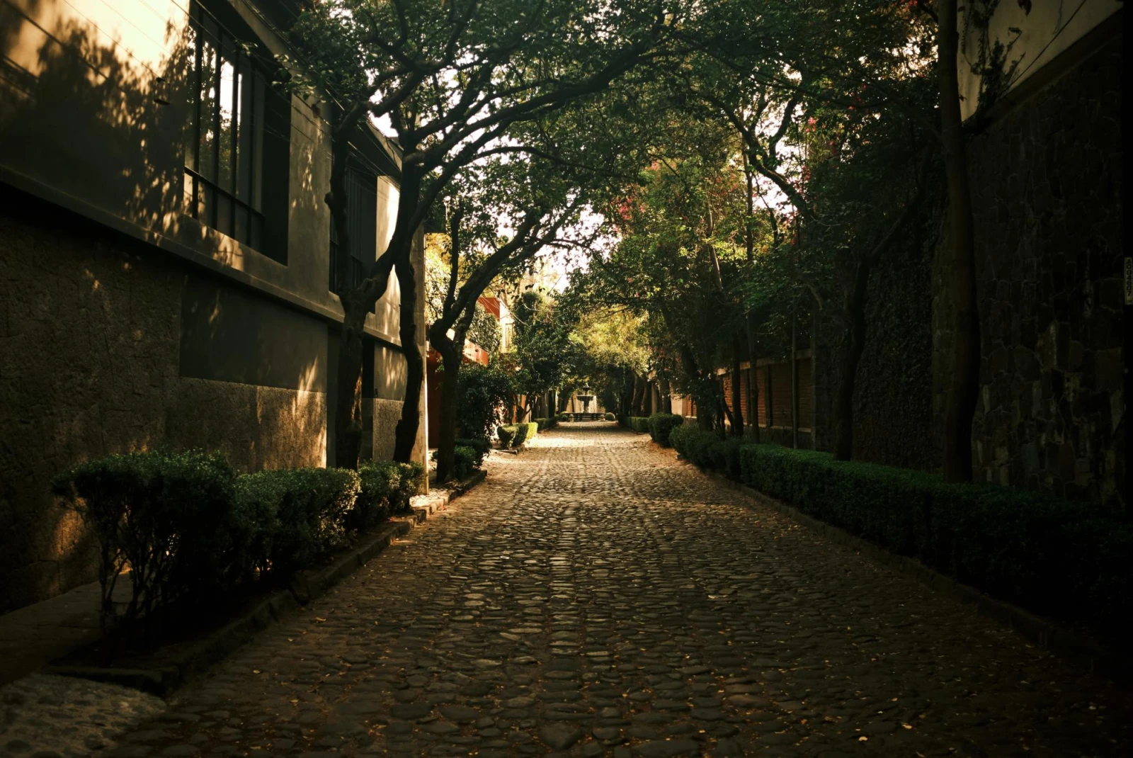 quite cobblestone street shaded by trees with with sun peaking through