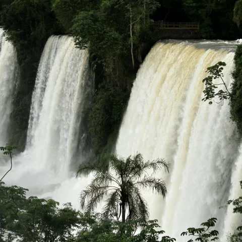 Beautiful Iguazu falls