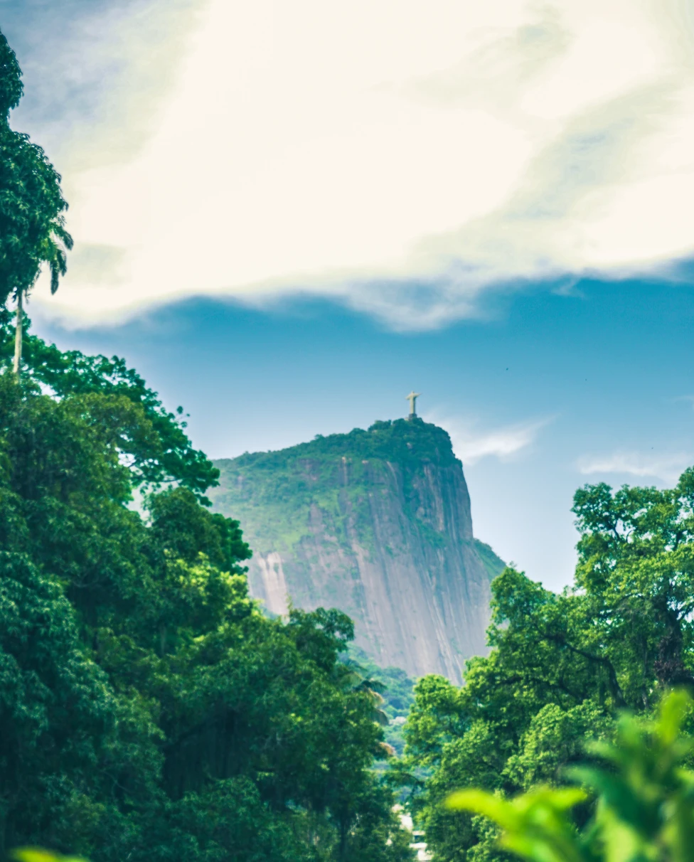 Views of the mountains in Rio.