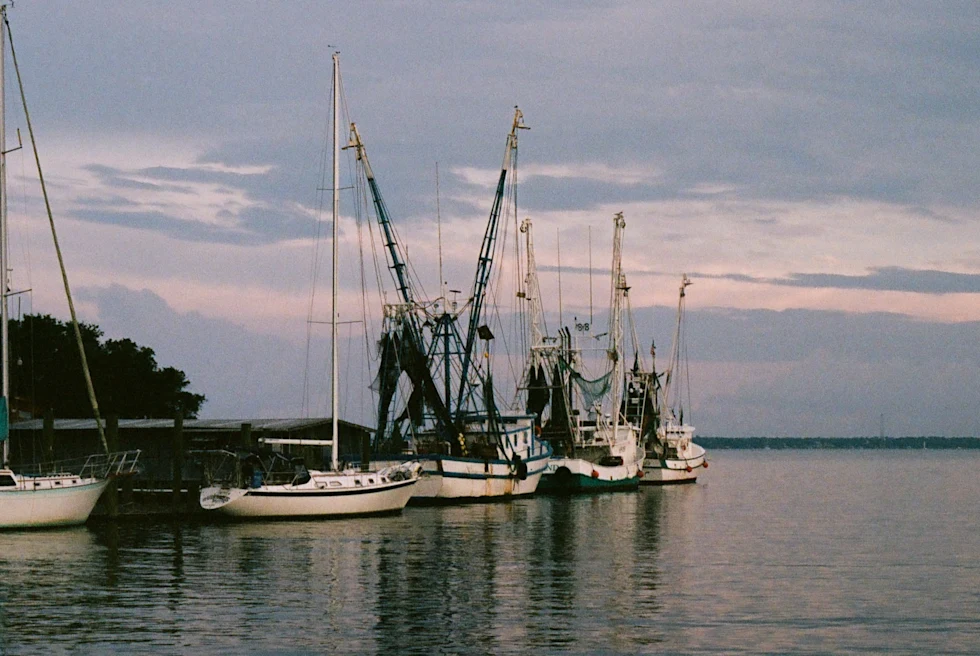 White boats parked on a dock.