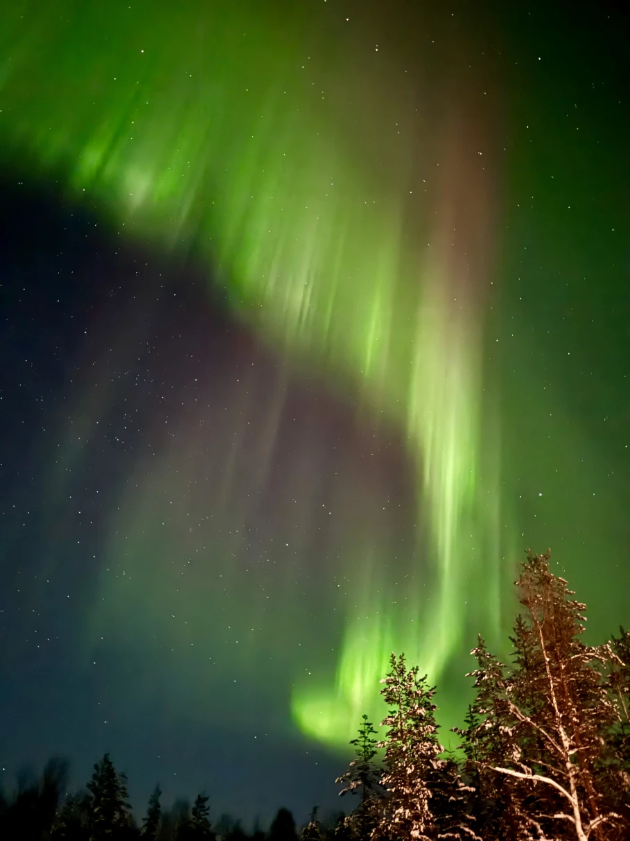 The Northern Lights is nature's mesmerizing light show painting the Arctic sky. Picture shows a green aurora borealis on a dark sky above trees.