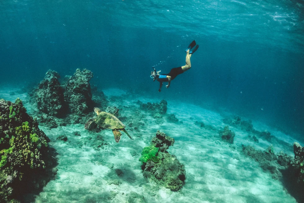 A man in blue shorts diving in water