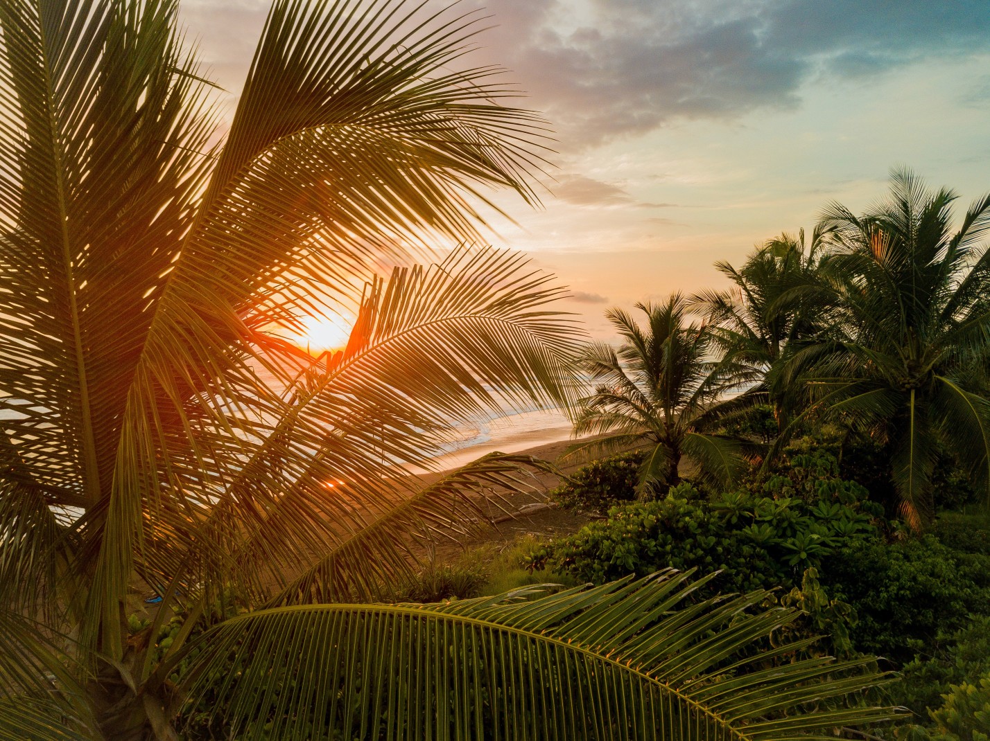 Costa Rica sunset with lush nature and palm trees at the beach. 