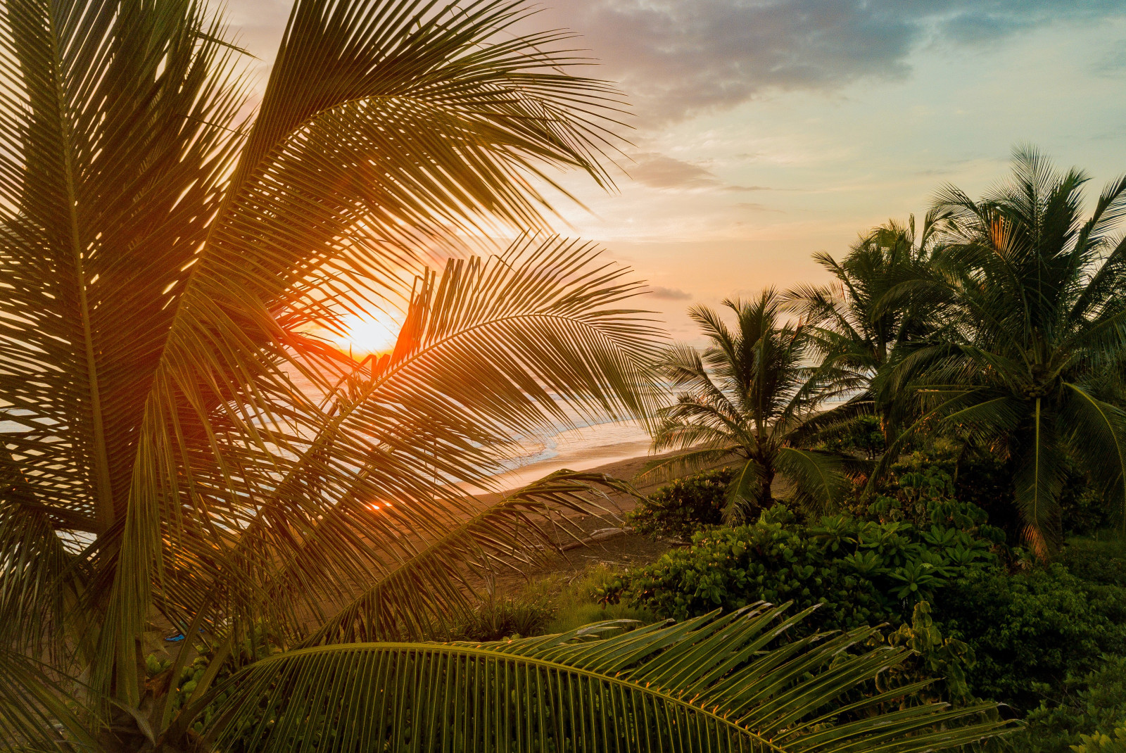 Costa Rica sunset with lush nature and palm trees at the beach. 