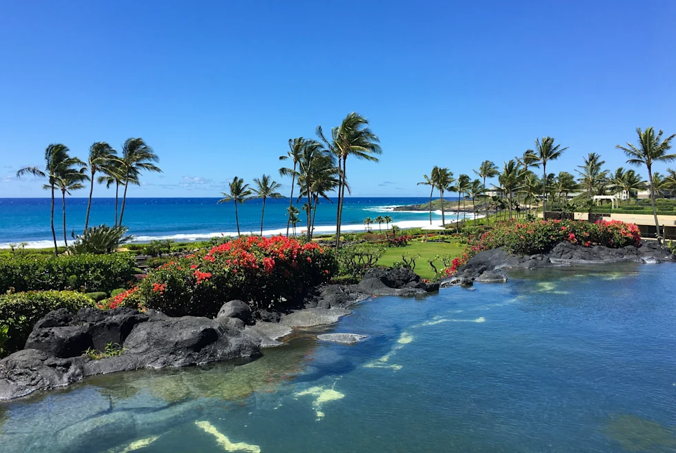 palm trees next to a body of water during daytime